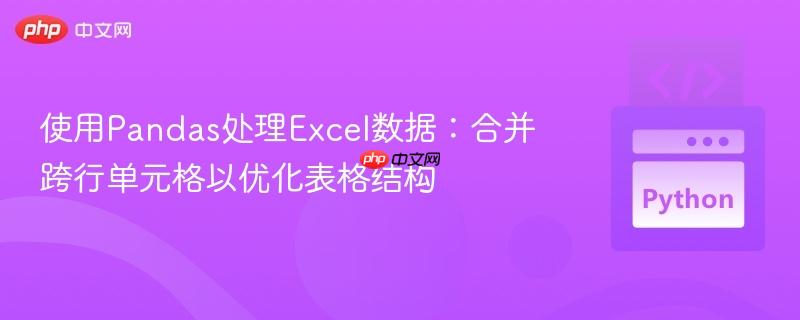 使用Pandas处理Excel数据:合并跨行单元格以优化表格结构