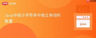 Java中统计字符串中独立单词的数量