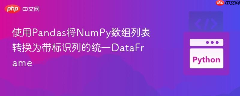 使用Pandas将NumPy数组列表转换为带标识列的统一DataFrame