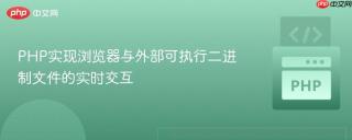 PHP实现浏览器与外部可执行二进制文件的实时交互
