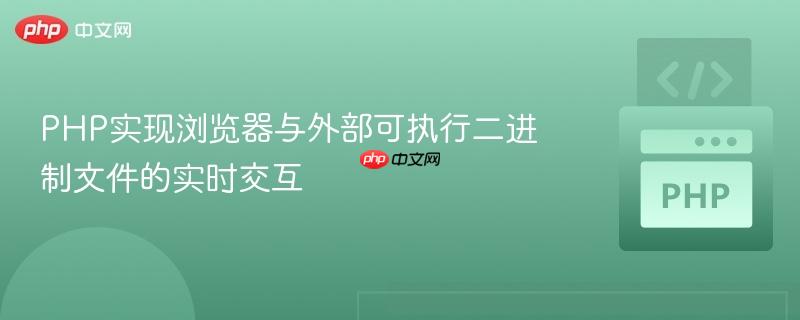 PHP实现浏览器与外部可执行二进制文件的实时交互