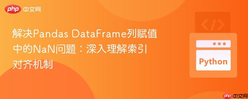 解决pandas dataframe列赋值中的nan问题:深入理解索引对齐机制