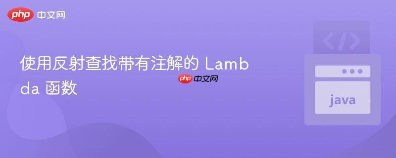 使用反射查找带有注解的 lambda 函数