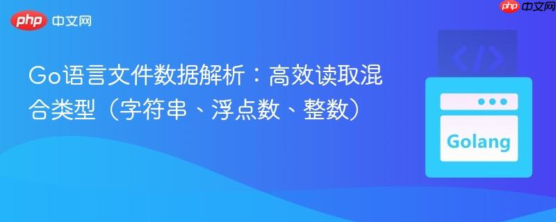 Go语言文件数据解析:高效读取混合类型(字符串、浮点数、整数)