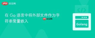在 Go 语言中将外部文件作为字符串常量嵌入