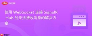 使用 WebSocket 连接 SignalR Hub 时无法接收消息的解决方案