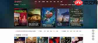 哪里有国产高清视频播放网址入口