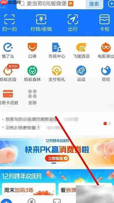 支付宝发钱助手提醒设置指南