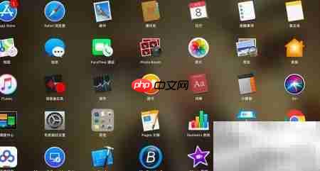 Grapher初级坐标系建立方法