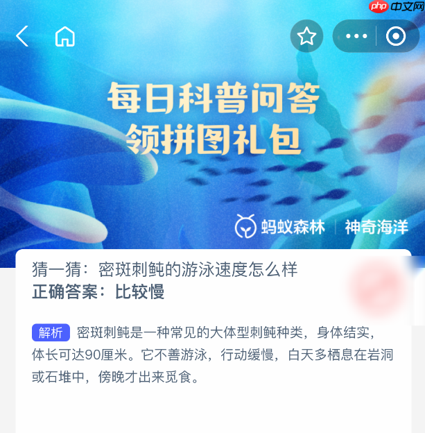 密斑刺鲀的游泳速度怎么样