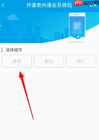 《贵州通》开通会员钱包方法