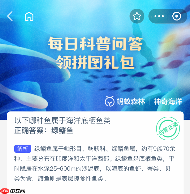 以下哪种鱼属于海洋底栖鱼类