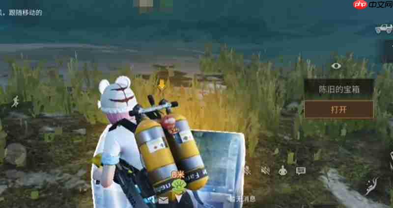 《明日之后》虹汐海域隐藏宝箱位置一览