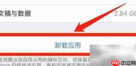 苹果手机长按无法删除App