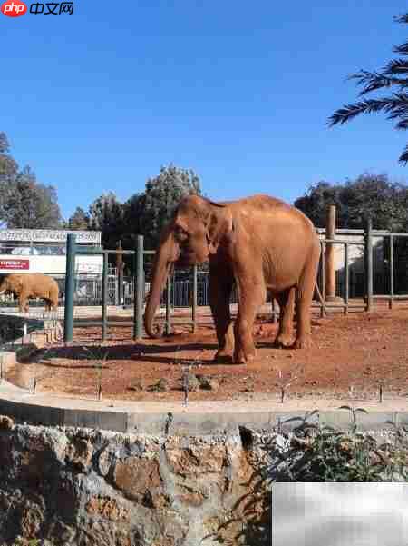 昆明动物园游记