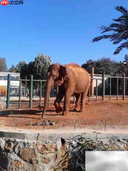 昆明动物园游记