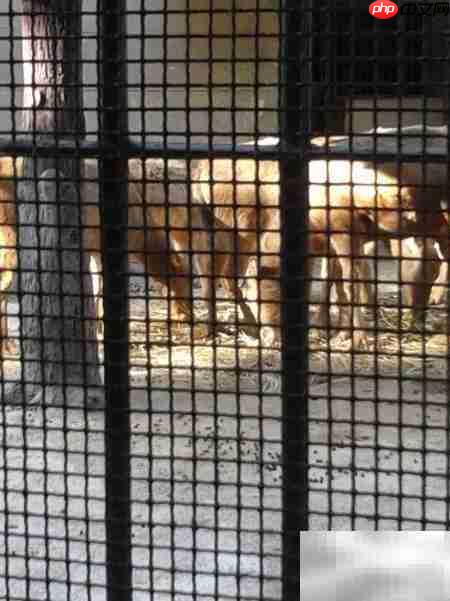 昆明动物园游记