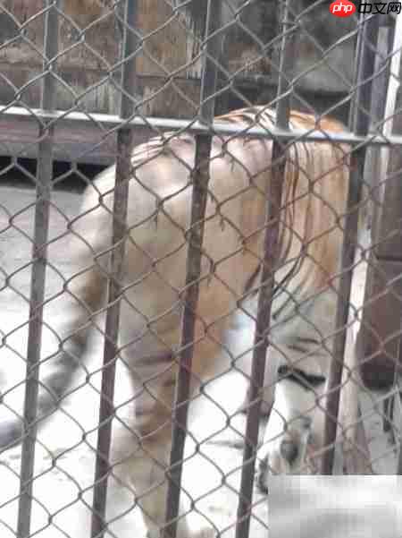 昆明动物园游记