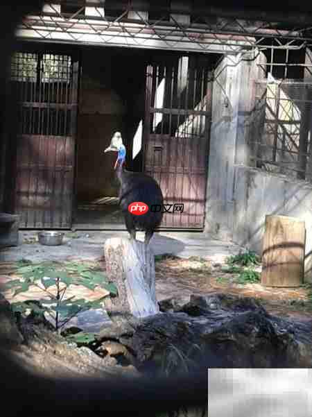 昆明动物园游记