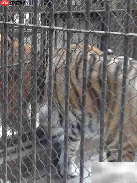 昆明动物园游记