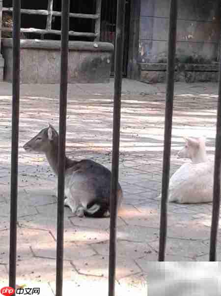 昆明动物园游记