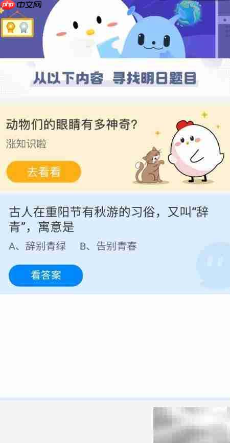 重阳节辞青的含义解析