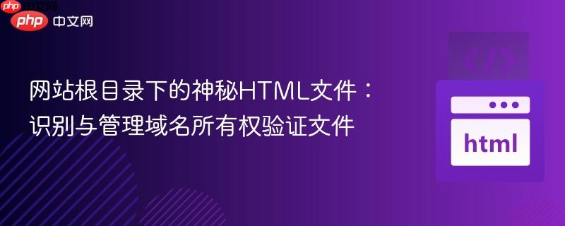 网站根目录下的神秘HTML文件:识别与管理域名所有权验证文件