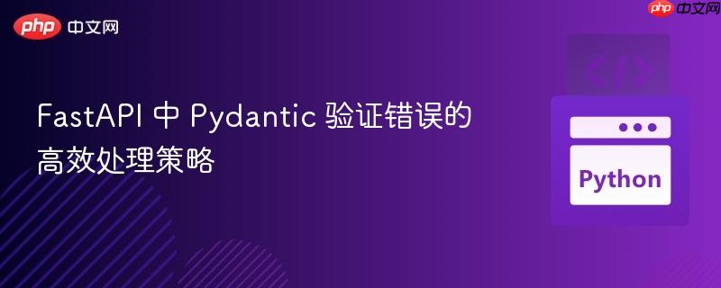 FastAPI 中 Pydantic 验证错误的高效处理策略