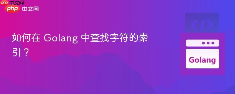 如何在 golang 中查找字符的索引?