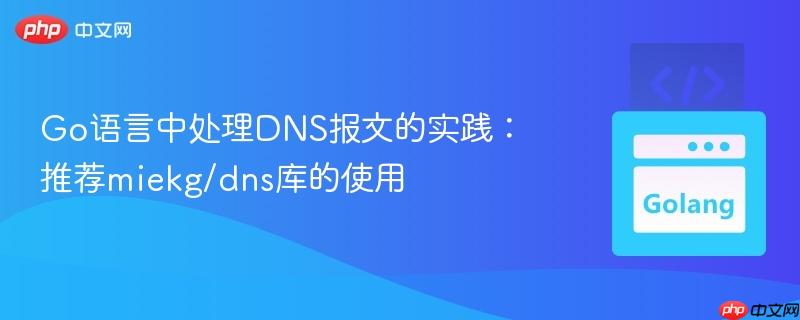 Go语言中处理DNS报文的实践:推荐miekg/dns库的使用