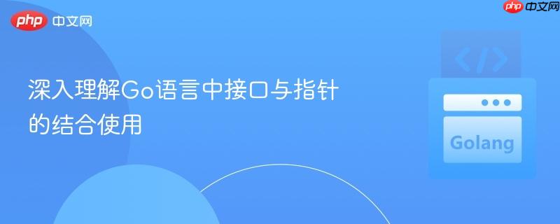 深入理解go语言中接口与指针的结合使用