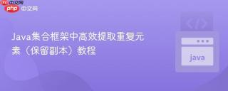 Java集合框架中高效提取重复元素（保留副本）教程