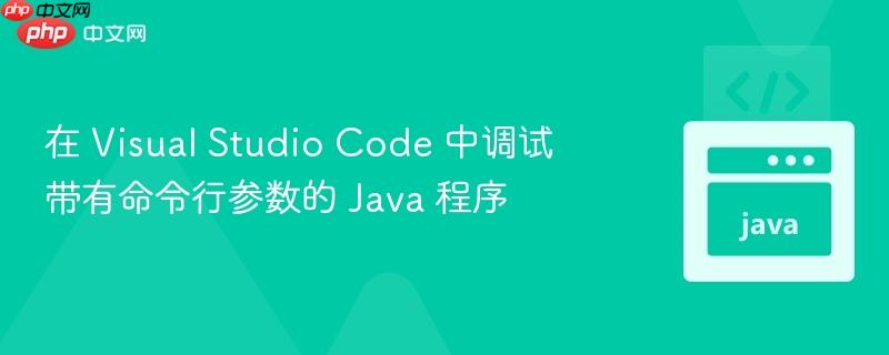 在 visual studio code 中调试带有命令行参数的 java 程序