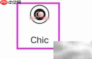 Chic美型设置技巧