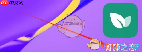 《青藤之恋》查看喜欢我的方法