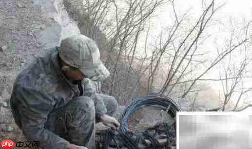 崖柏采集全记录