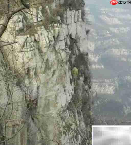 崖柏采集全记录