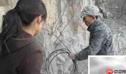 崖柏采集全记录