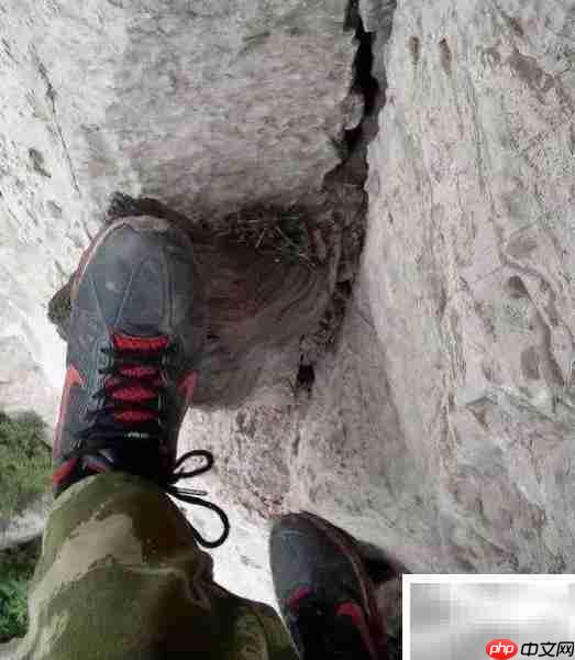 崖柏采集全记录