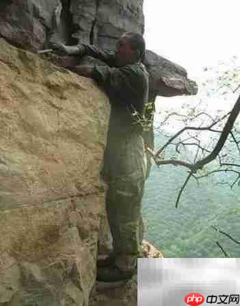 崖柏采集全记录