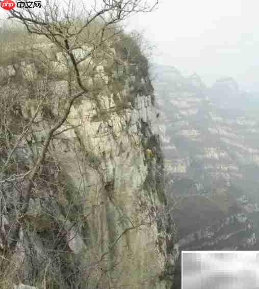 崖柏采集全记录