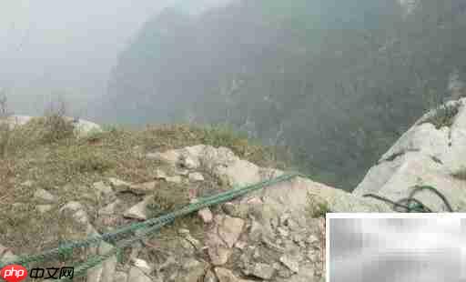 崖柏采集全记录