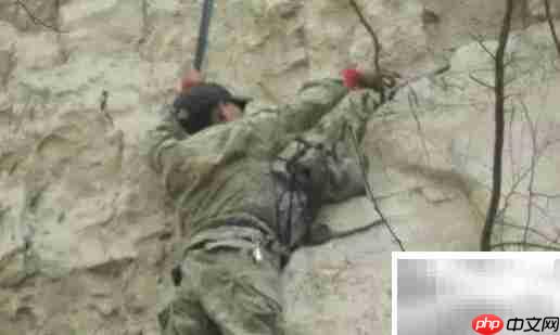 崖柏采集全记录