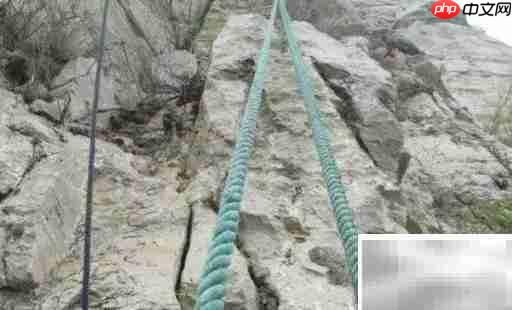 崖柏采集全记录