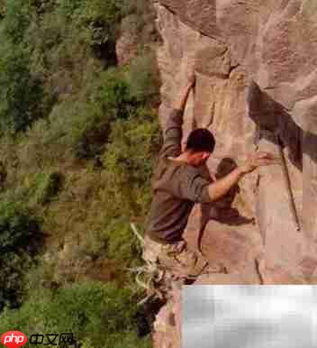 崖柏采集全记录