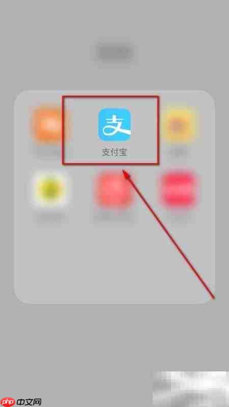 支付宝会员积分查看指南
