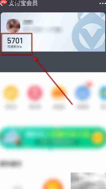 支付宝会员积分查看指南