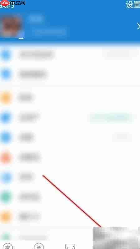 支付宝会员积分查看指南