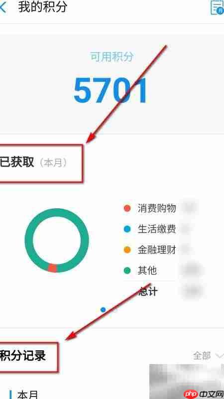 支付宝会员积分查看指南