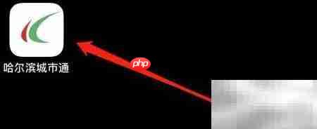 哈尔滨城市通设置入口指南